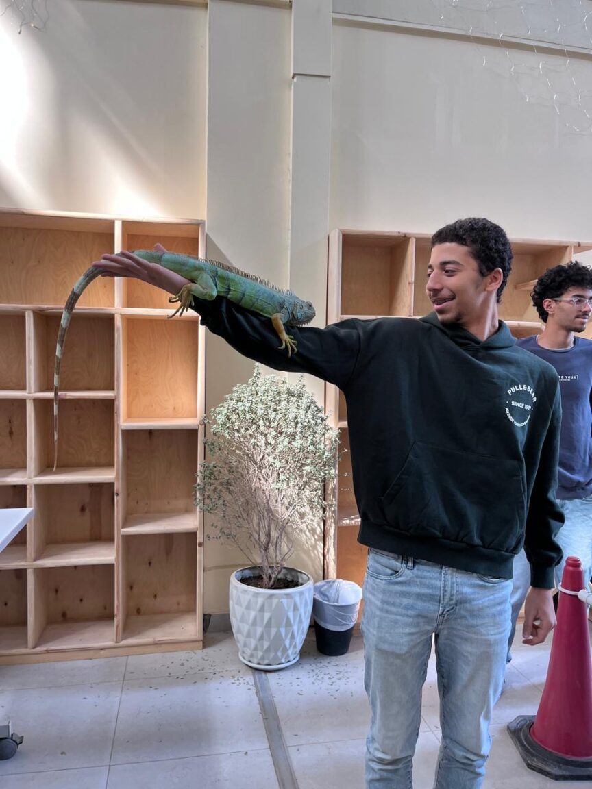 c8d31425-29f9-46a4-836a-0590f31ca0f9